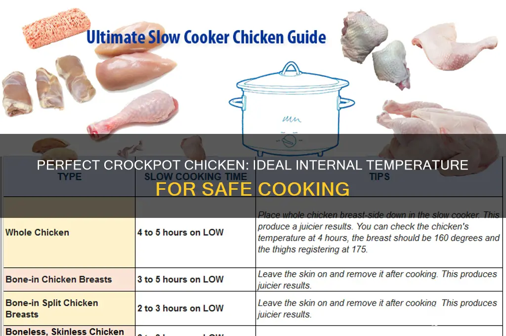 what is temp reading for chicken in crockpot