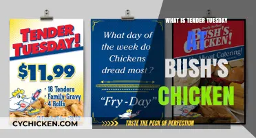 Discover Tender Tuesday: Bush's Chicken Special Deal Explained