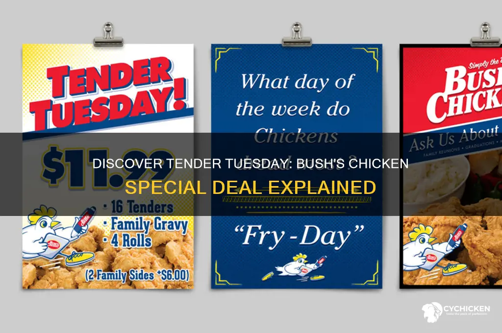 what is tender tuesday at bush