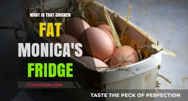 Unveiling Monica's Fridge Mystery: The Story of Chicken Fat
