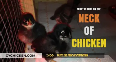 Unveiling the Mystery: What's That Lump on Your Chicken's Neck?