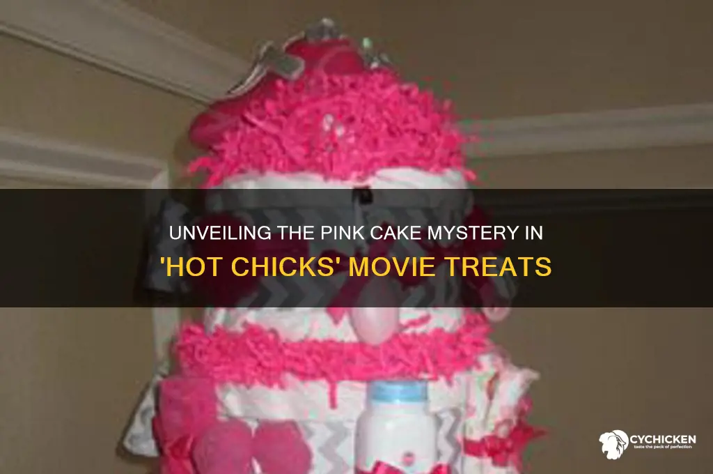 what is that pink cake in hot chicks