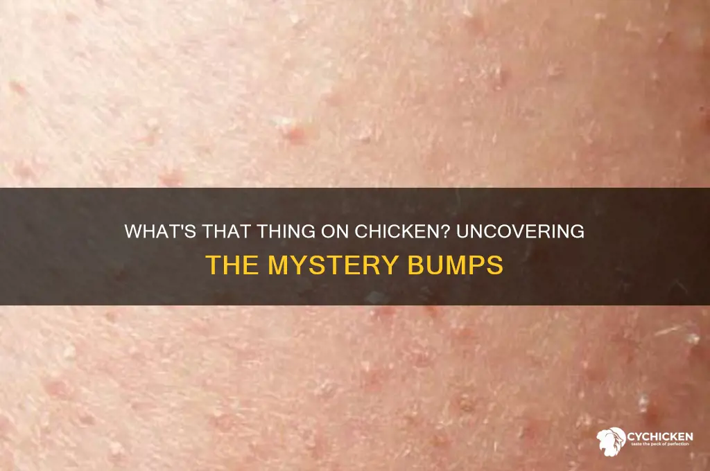 what is that thing that comes on chicken