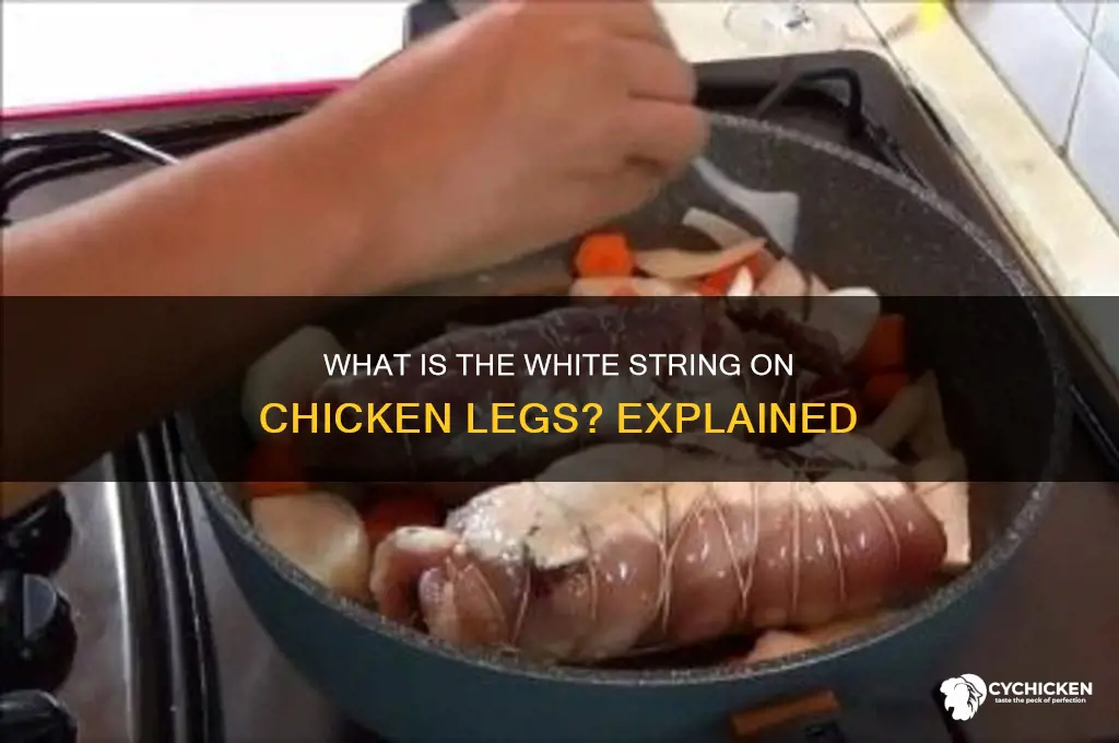 what is that white string on chicken leg