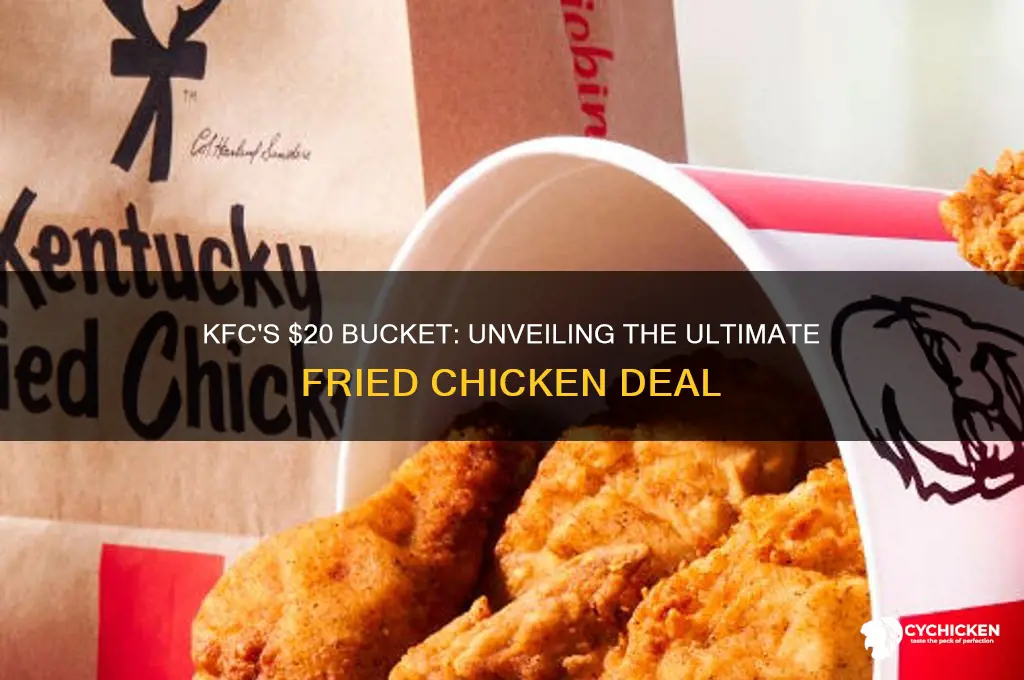 what is the $20 bucket at kfc