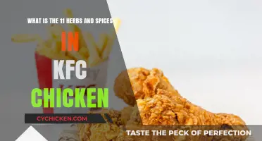 Secret KFC Chicken Recipe: 11 Herbs and Spices