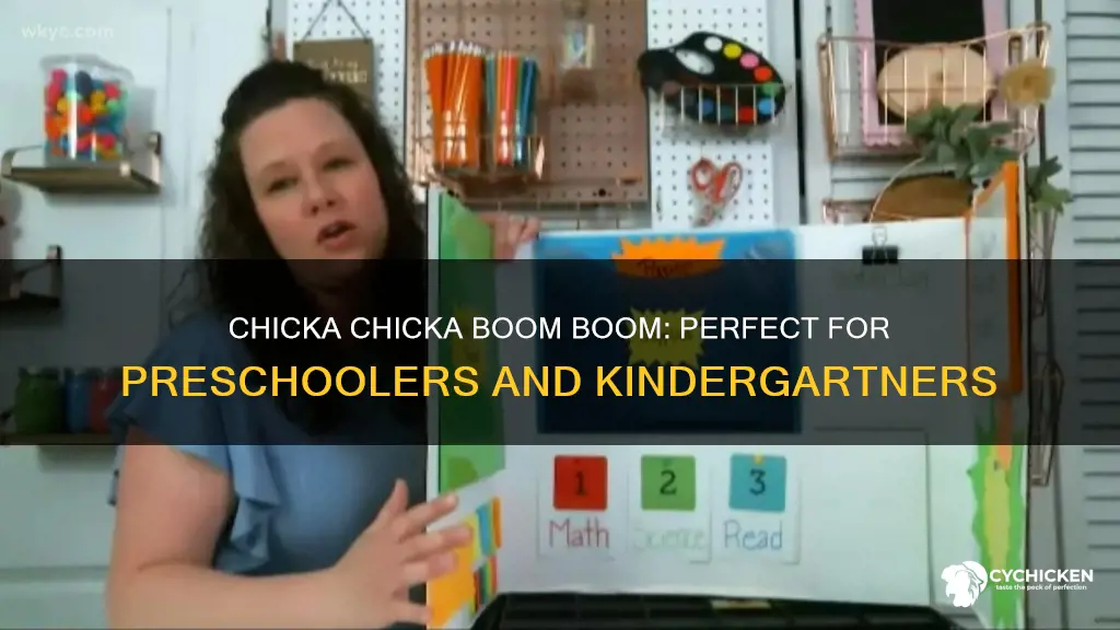 what is the age range for chicka chicka boom boom