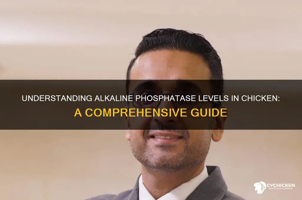 what is the alkaline phosphatase level in chicken