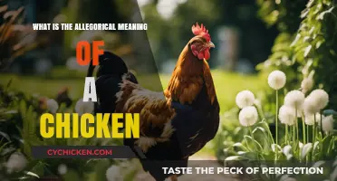 Unveiling the Symbolic Layers: The Allegorical Meaning of a Chicken