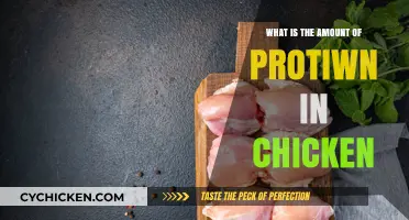 How Much Protein is in Chicken? A Nutritional Breakdown