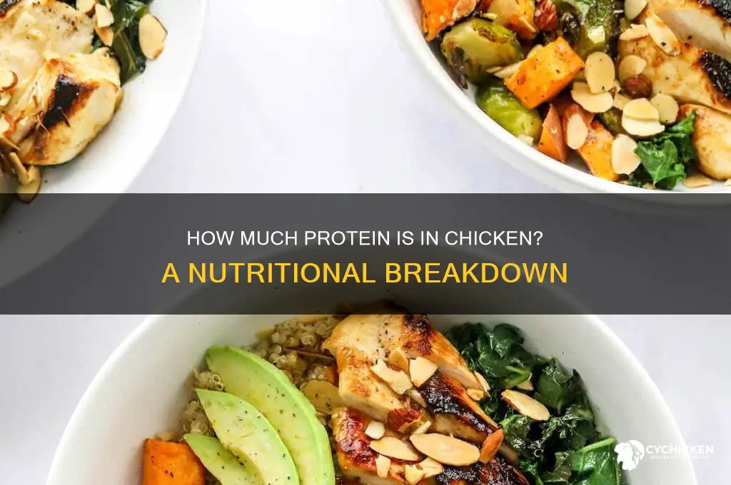 what is the amount of protiwn in chicken
