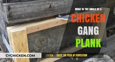How Does a Chicken Walk the Plank?