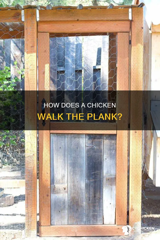 what is the angle of a chicken gang plank