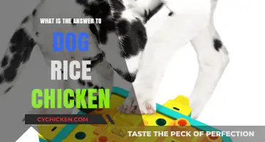 Dog Rice Chicken: Unraveling the Mystery Behind This Viral Puzzle