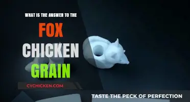 The Fox, Chicken, and Grain Riddle Explained