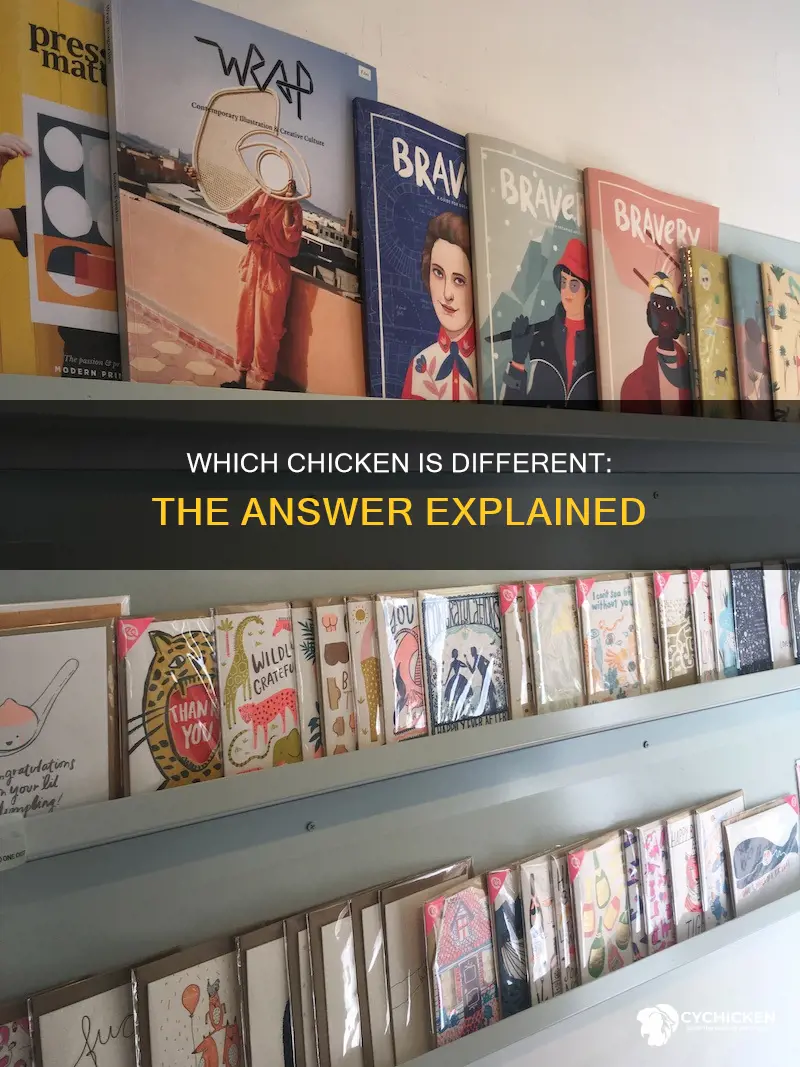 what is the answer to which chicken is different picture