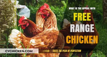 Why Free Range Chicken Captivates Consumers: Uncovering Its Irresistible Appeal