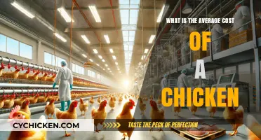 Understanding the Average Cost of a Chicken: Factors and Pricing
