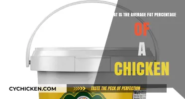 Chicken Fat: Understanding Average Percentage