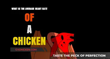 Heart Rate of Chickens: What's the Average?