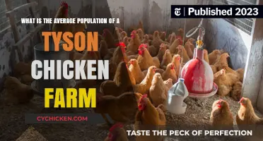 Huge Chicken Farm Population: Tyson's Average