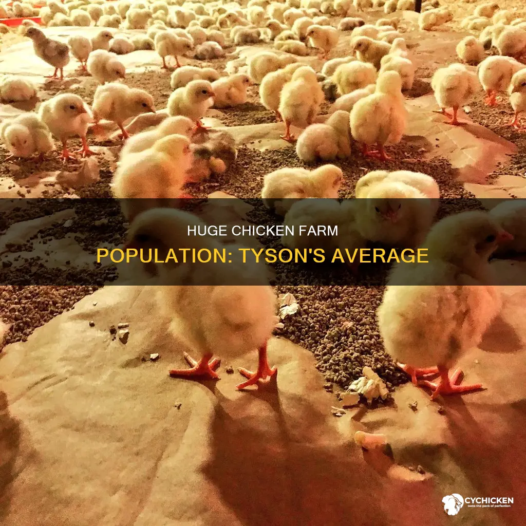 what is the average population of a tyson chicken farm