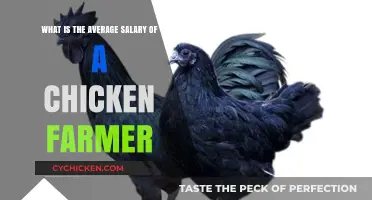 Lucrative Chicken Farming: Average Salary Insights