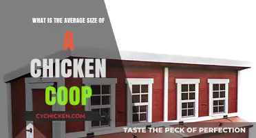 Optimal Space: How Big Should Your Chicken Coop Be?