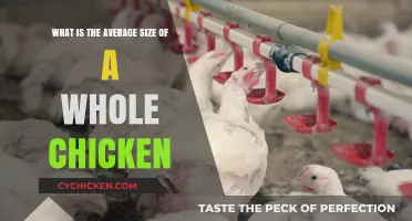 Exploring the Average Size of a Whole Chicken: Facts and Figures