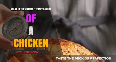 Understanding the Normal Body Temperature Range for Healthy Chickens