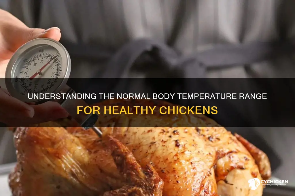 what is the average temperature of a chicken
