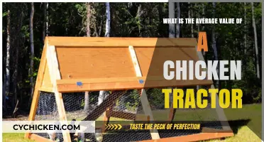 Chicken Tractor Cost: What's the Average Price?