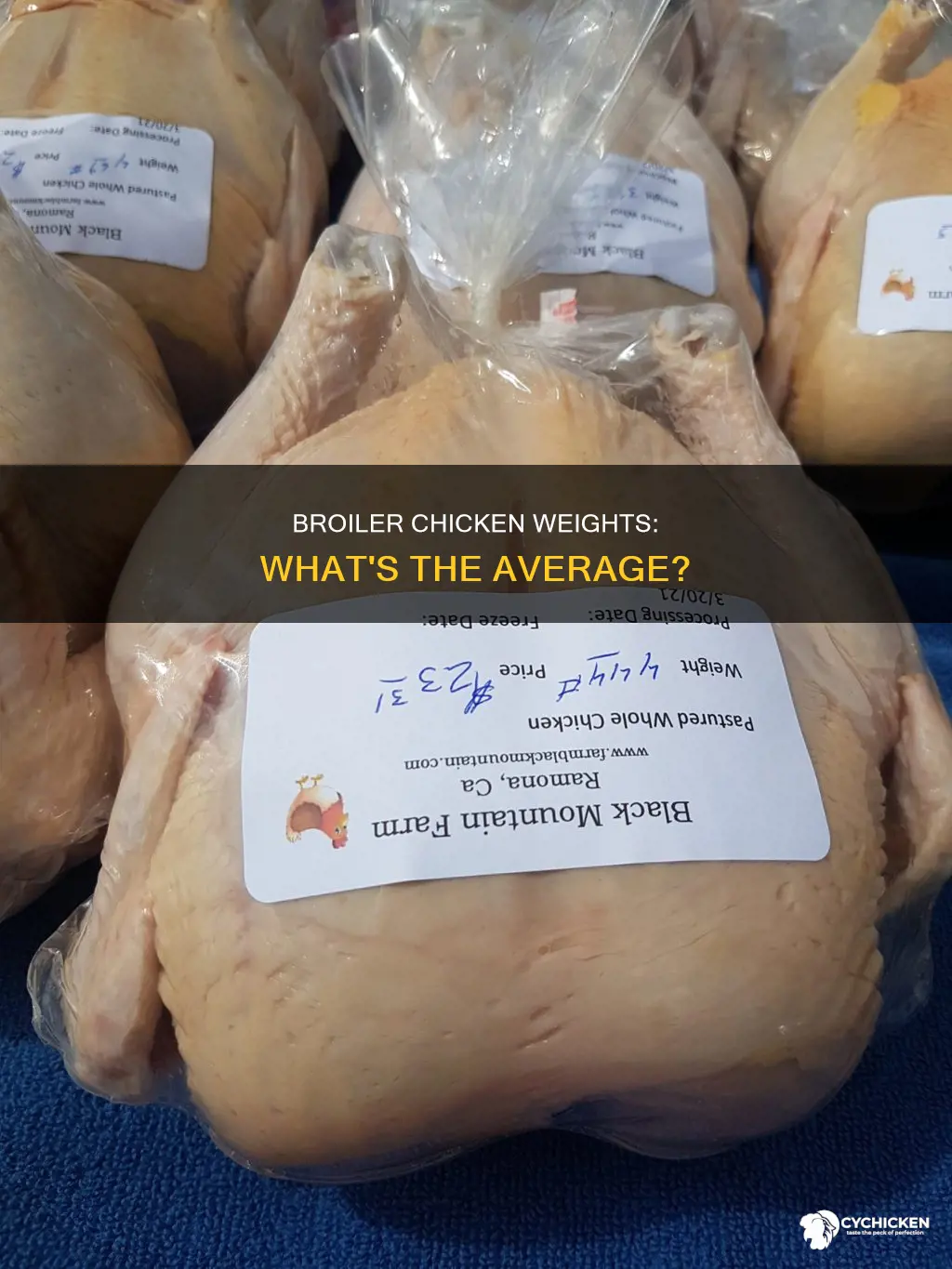 what is the average weight of a broiler chicken