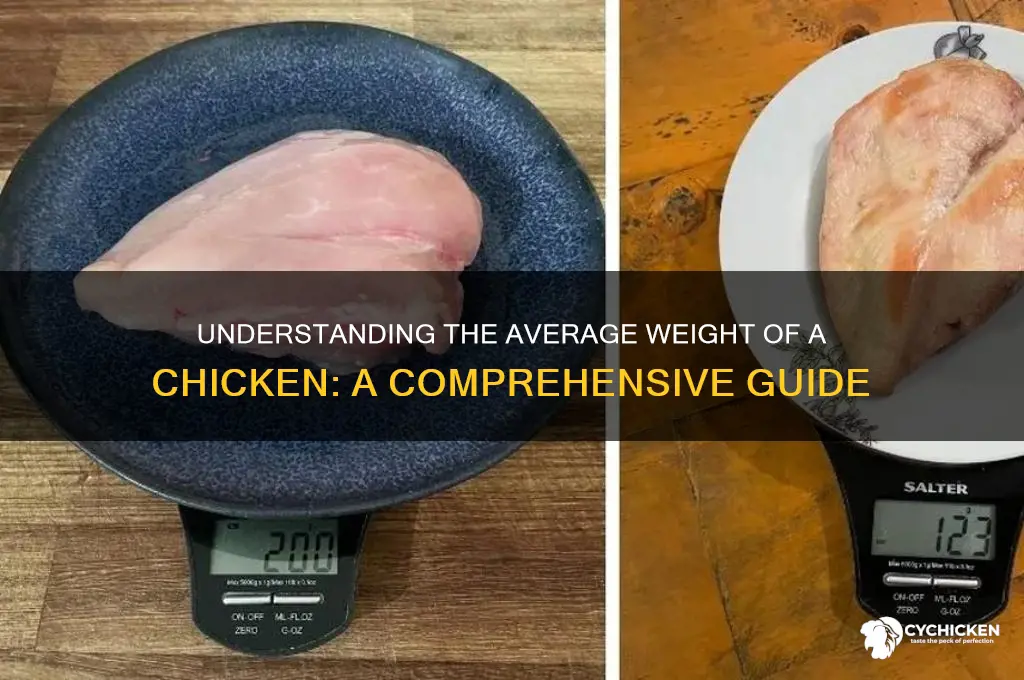 what is the average weight of a chicken