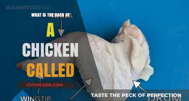 Unveiling the Mystery: What’s the Back of a Chicken Called?