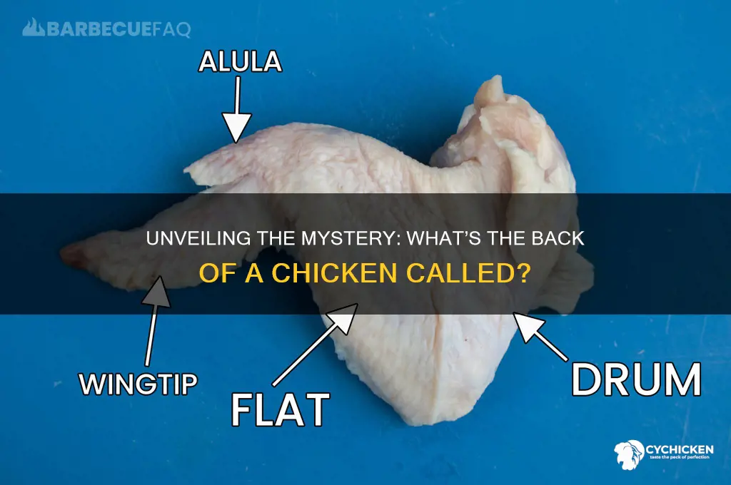 what is the back of a chicken called