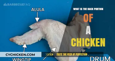 Understanding the Chicken's Back Portion: Anatomy and Culinary Uses