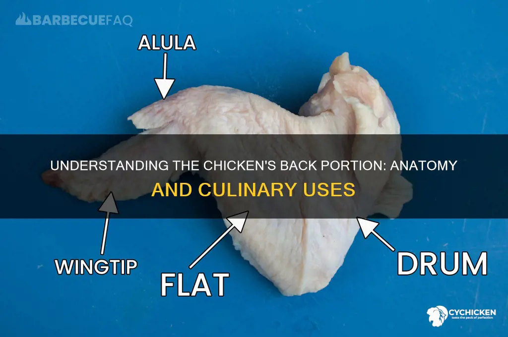what is the back portion of a chicken