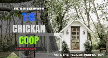 Unveiling the Rustic Charm: A Journey into the Chicken Coop's Past