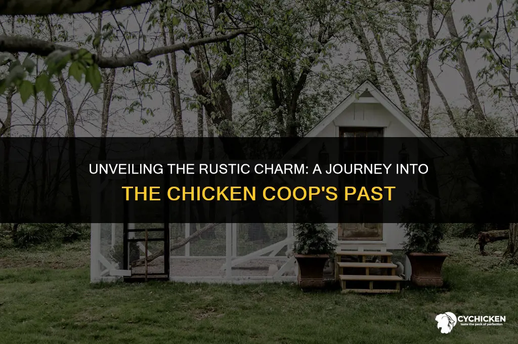 what is the background of the chickan coop