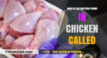 Unveiling the Common Bacteria Found in Chicken: A Comprehensive Guide