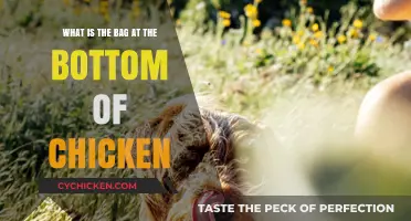 The Mystery Bag: What's in Chicken's Bottom?