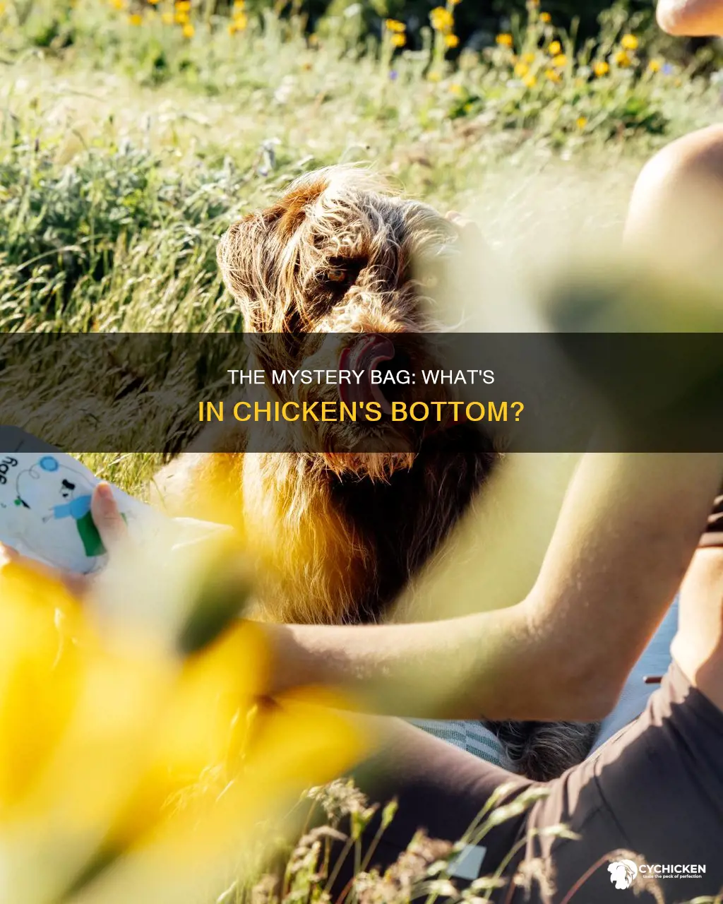 what is the bag at the bottom of chicken