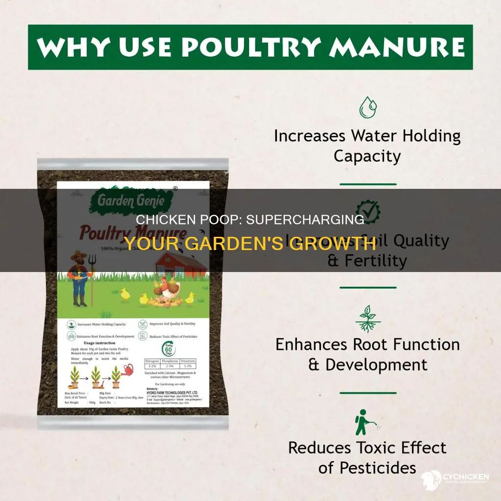 what is the benefit of chicken poop to the garden