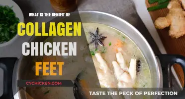 Collagen-Rich Chicken Feet: Unlocking Skin, Joint, and Gut Health Benefits