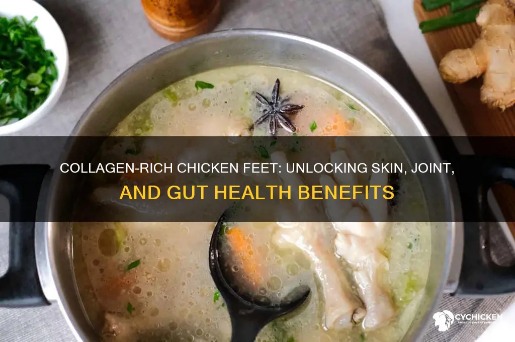 what is the benifit of collagen chicken feet
