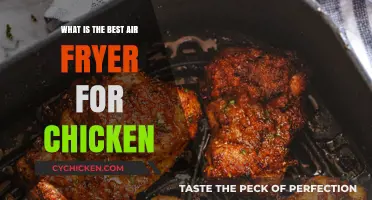 Crispy Perfection: Top Air Fryers for Juicy, Golden Chicken