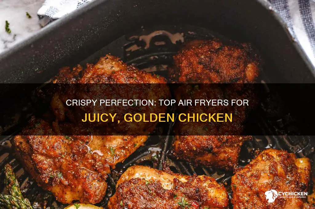 what is the best air fryer for chicken