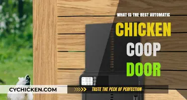 Top Picks for Automatic Chicken Coop Doors: A Comprehensive Guide