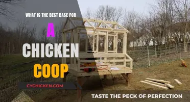 Building the Perfect Chicken Coop: A Guide to the Best Bases